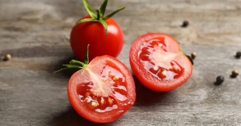 growing cherry tomatoes in pots indoors