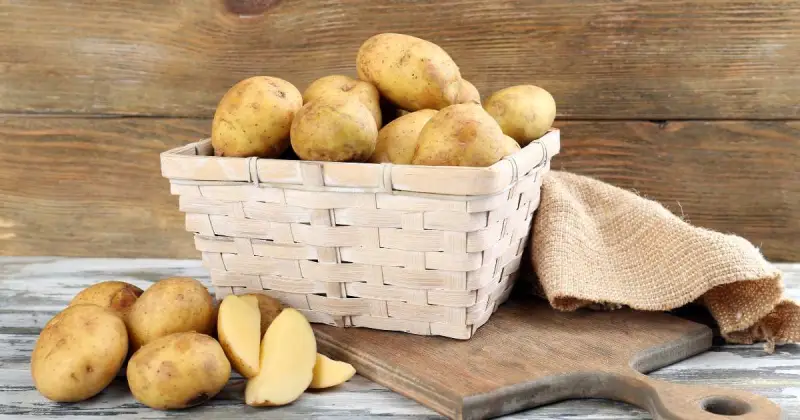 growing potatoes in containers with straw