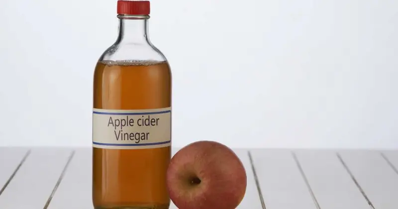how to get rid of fruit flies with apple cider vinegar