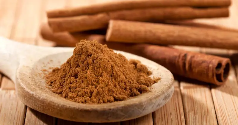 closeup of several cinnamon sticks behind wooden kitchen spoon with ground cinnamon