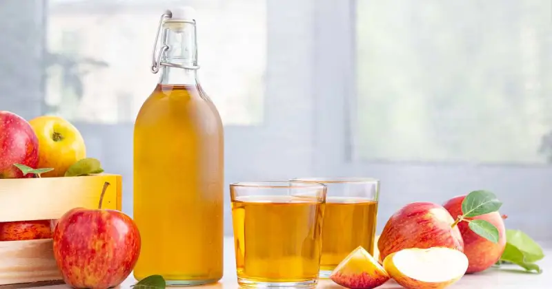 glass bottle and two glasses filled with apple cider vinegar in kitchen near red apples