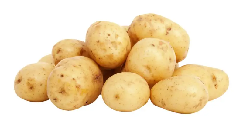 how to grow potatoes indoors