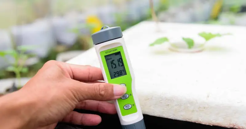 person holding green and white pH meter in front of outdoor hydroponic farm