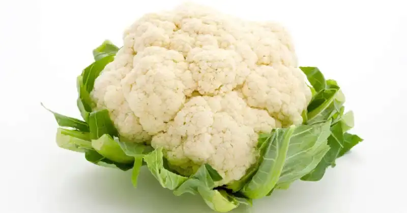 companion plants for celery root