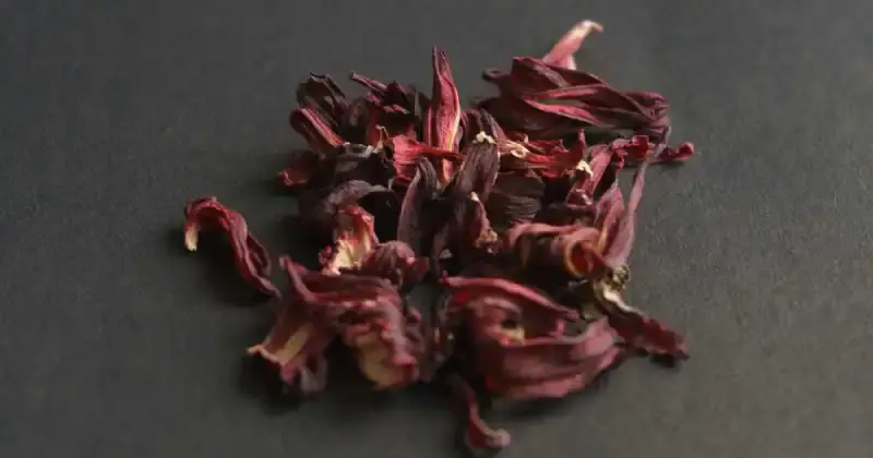 eating hibiscus flowers benefits