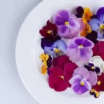 colorful flowers decorating a white plate on white background