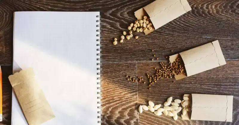 small paper seed packets spilling vegetable seeds on wood table near notebook