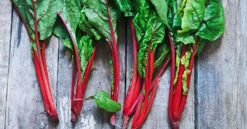 companion plants for red beets